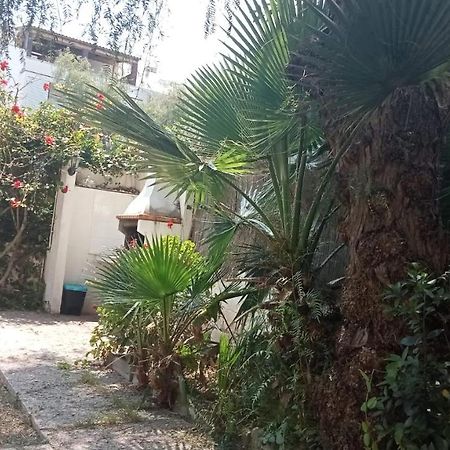 Apartamento - Jardin En Playa San Sebastian シッチェス エクステリア 写真