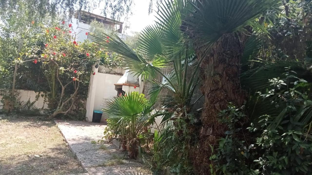 Apartamento - Jardin En Playa San Sebastian シッチェス エクステリア 写真